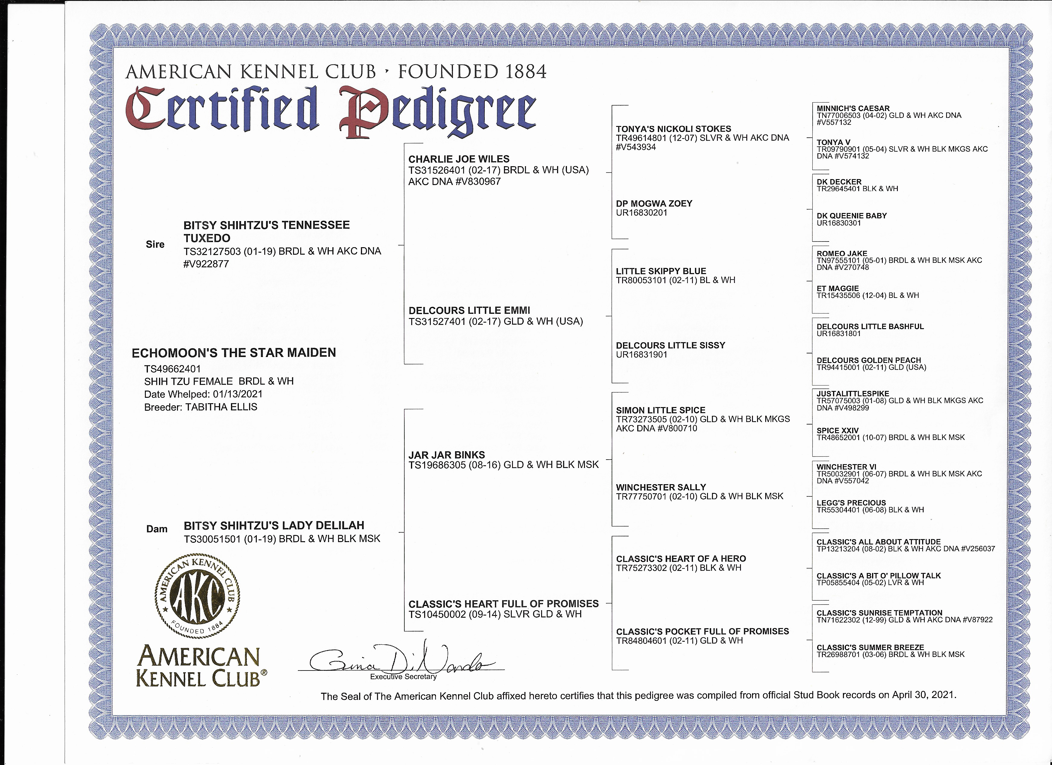 Stix's Pedigree